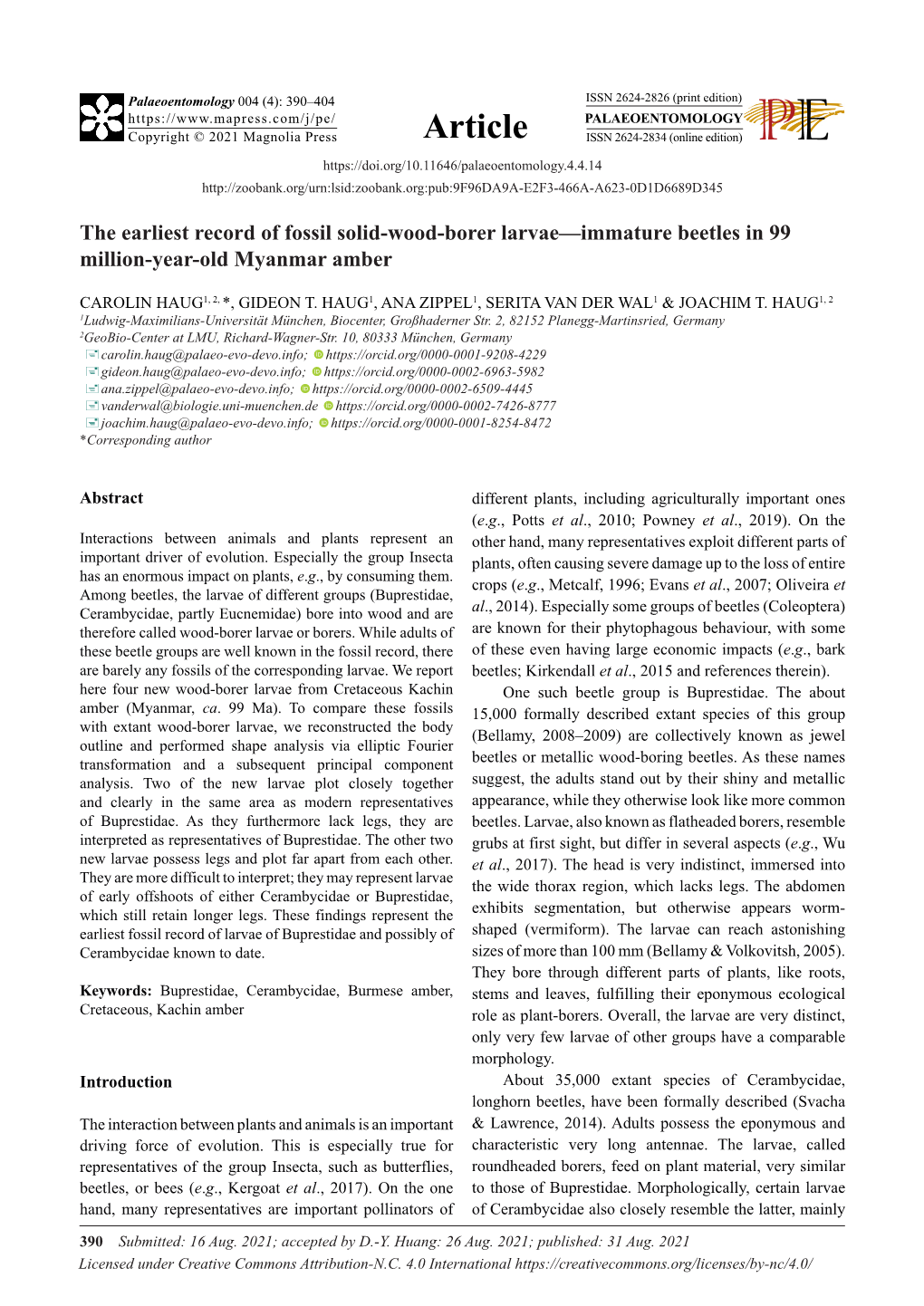 The Earliest Record of Fossil Solid-Wood-Borer Larvae—Immature Beetles in 99 Million-Year-Old Myanmar Amber