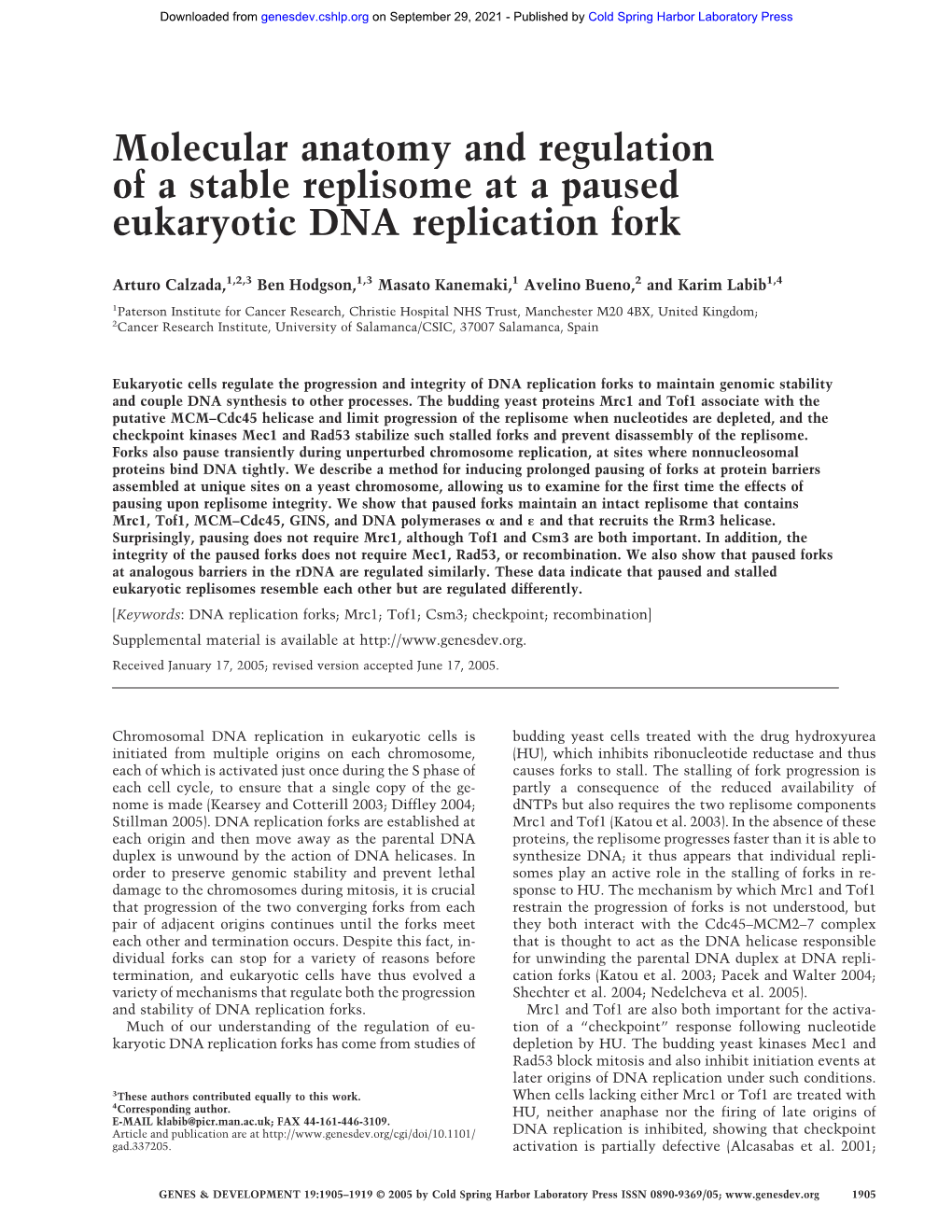 Molecular Anatomy and Regulation of a Stable Replisome at a Paused Eukaryotic DNA Replication Fork