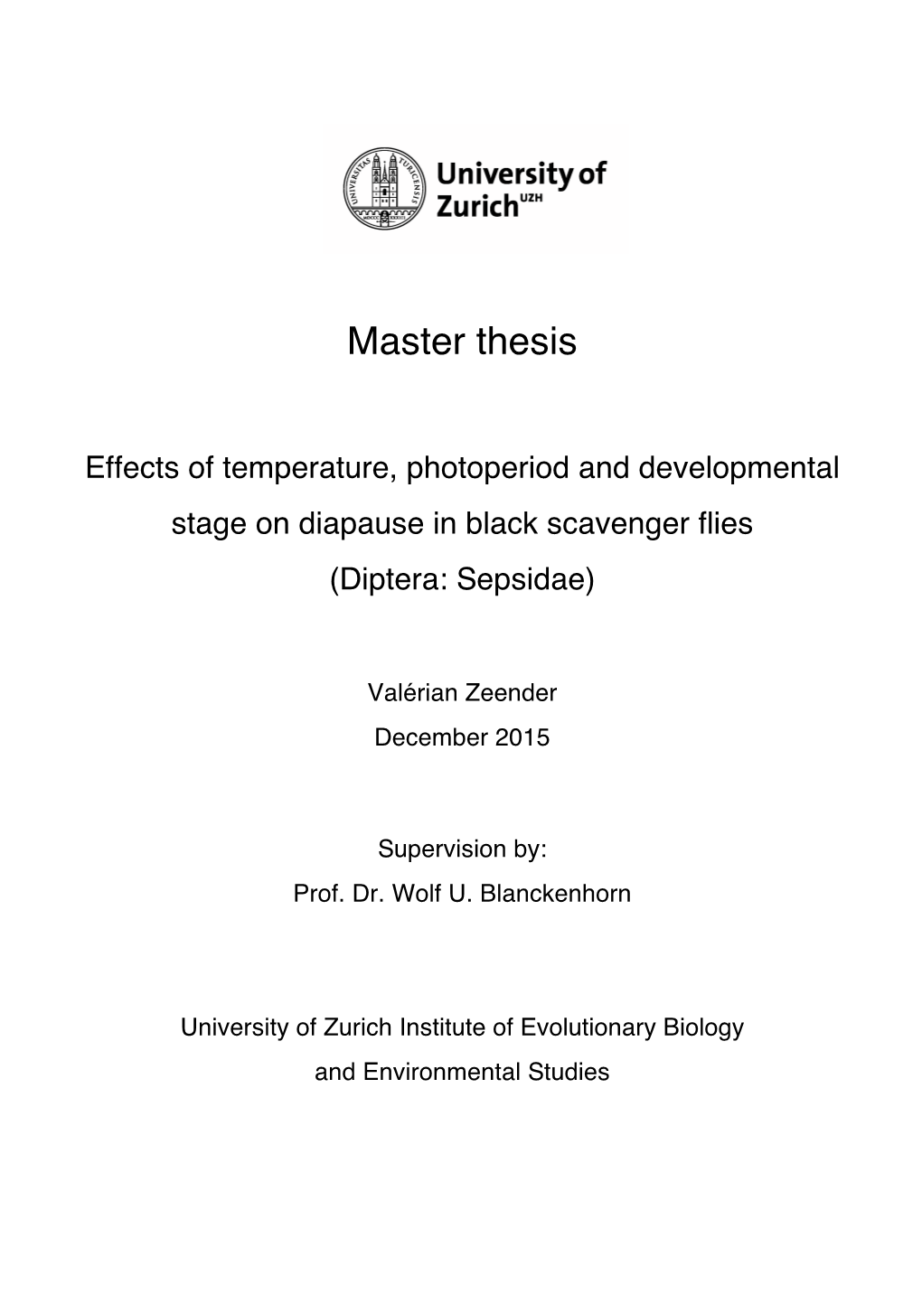 Master Thesis