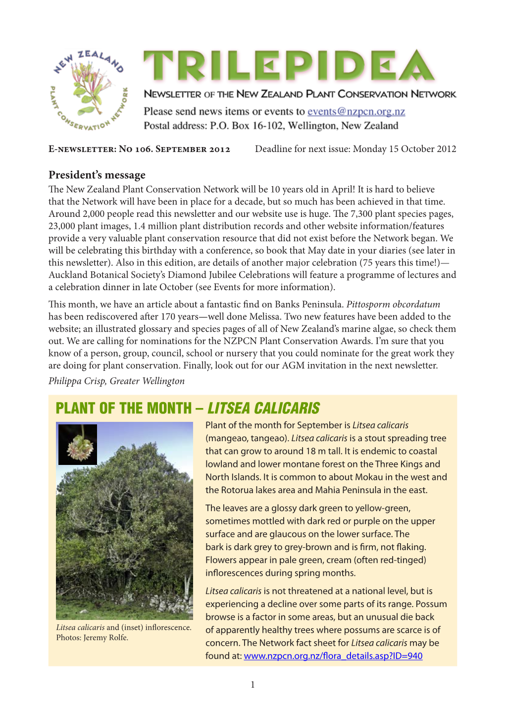 PLANT of the MONTH – LITSEA CALICARIS Plant of the Month for September Is Litsea Calicaris (Mangeao, Tangeao)