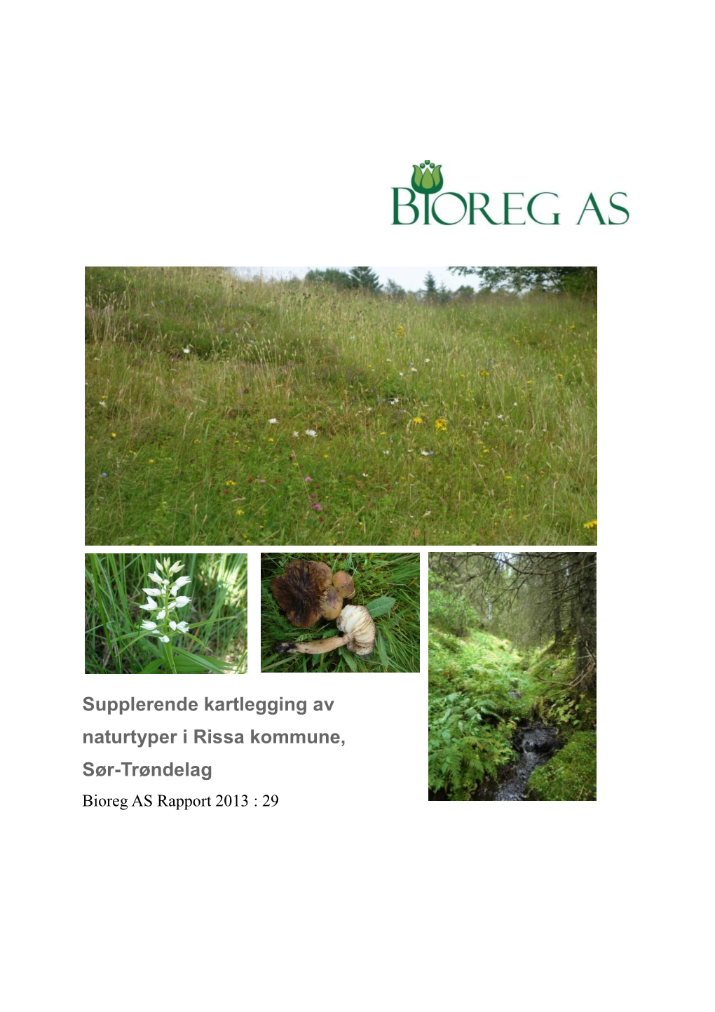 Naturtyper I Rissa Kommune, Sør-Trøndelag Bioreg AS Rapport 2013 : 29