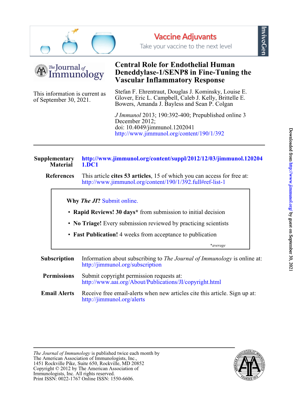 Vascular Inflammatory Response Deneddylase-1/SENP8 in Fine