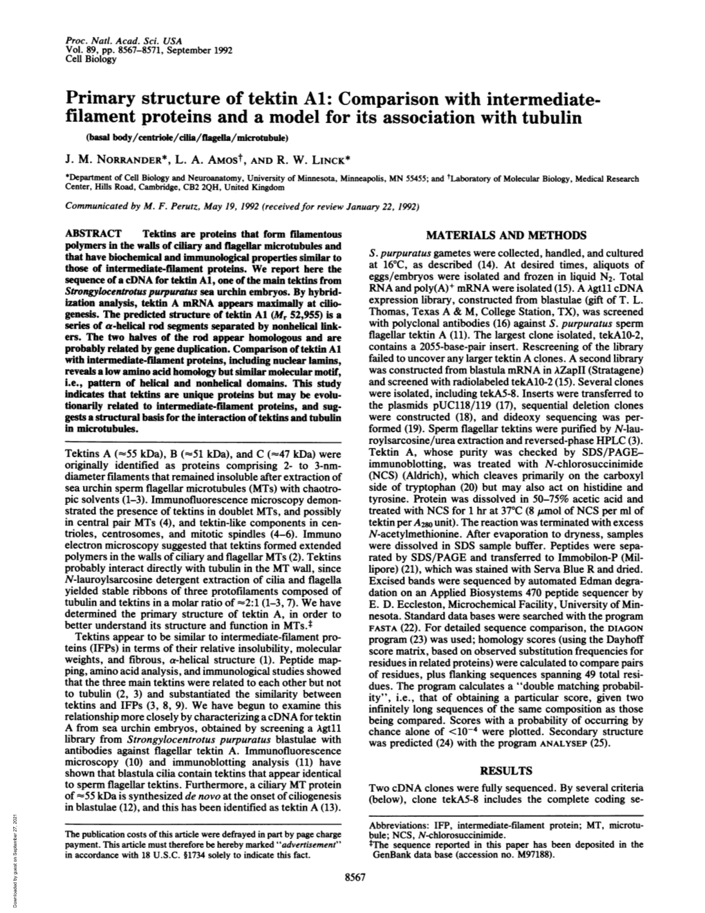 Primary Structure of Tektin Al