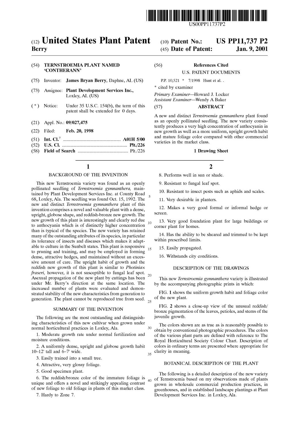 (12) United States Plant Patent (10) Patent N0.: US PP11,737 P2 Berry (45) Date of Patent: Jan