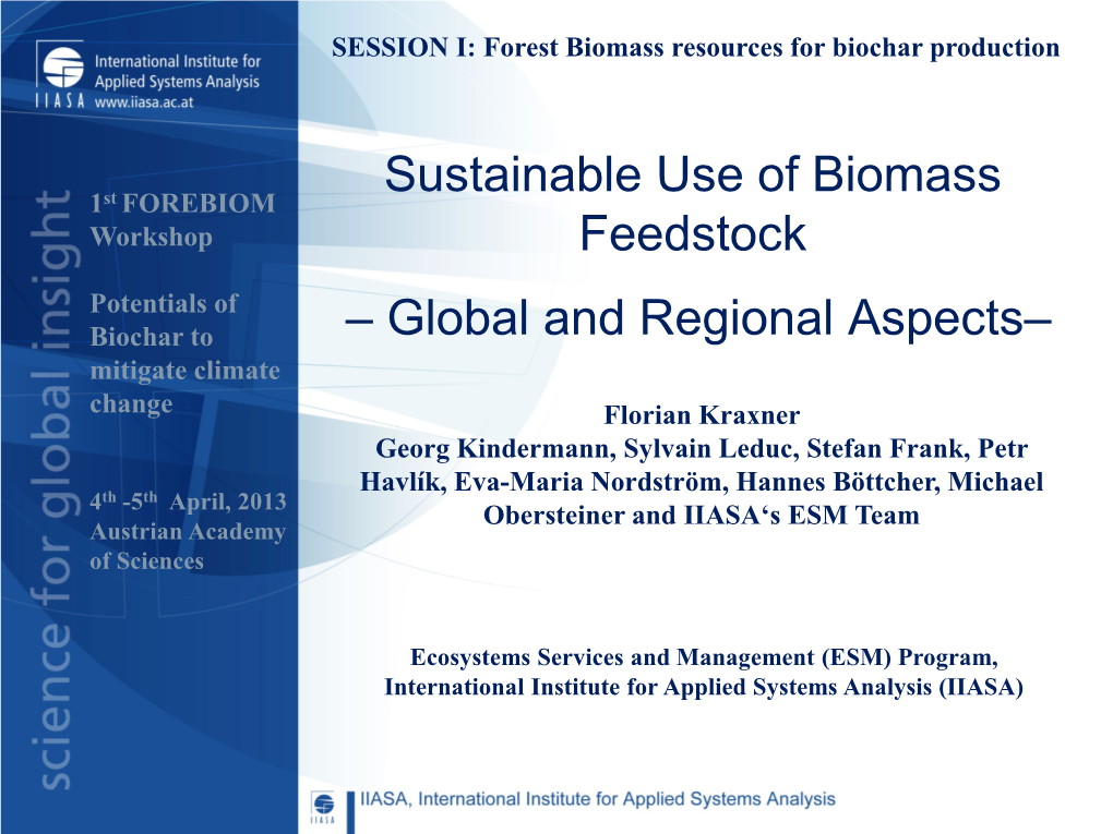 Sustainable Use of Biomass Feedstock – Global and Regional