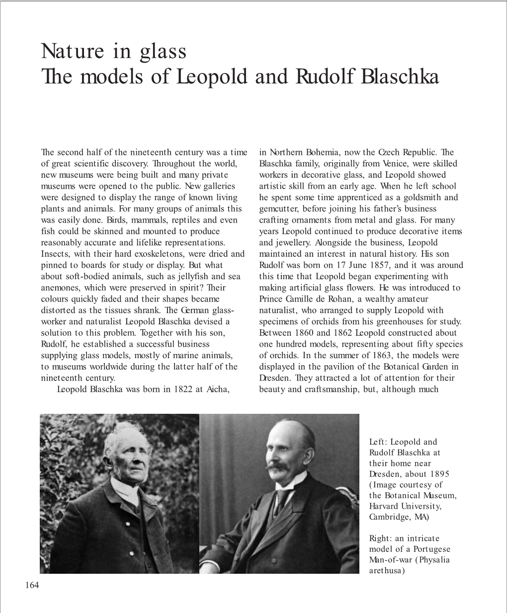 Nature in Glass the Models of Leopold and Rudolf Blaschka
