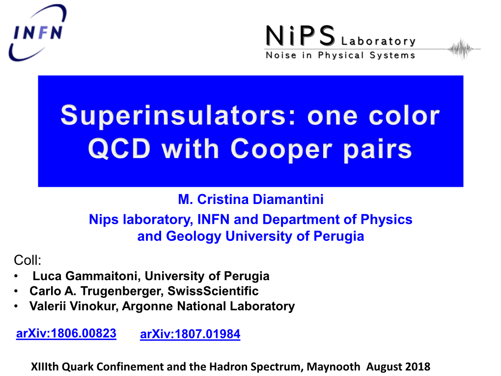 M. Cristina Diamantini Nips Laboratory, INFN and Department of Physics and Geology University of Perugia Coll: • Luca Gammaitoni, University of Perugia • Carlo A