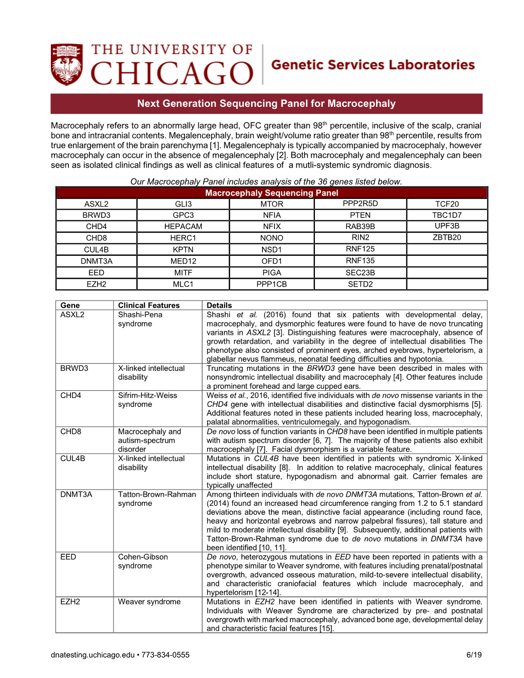 Macrocephaly Information Sheet 6-13-19