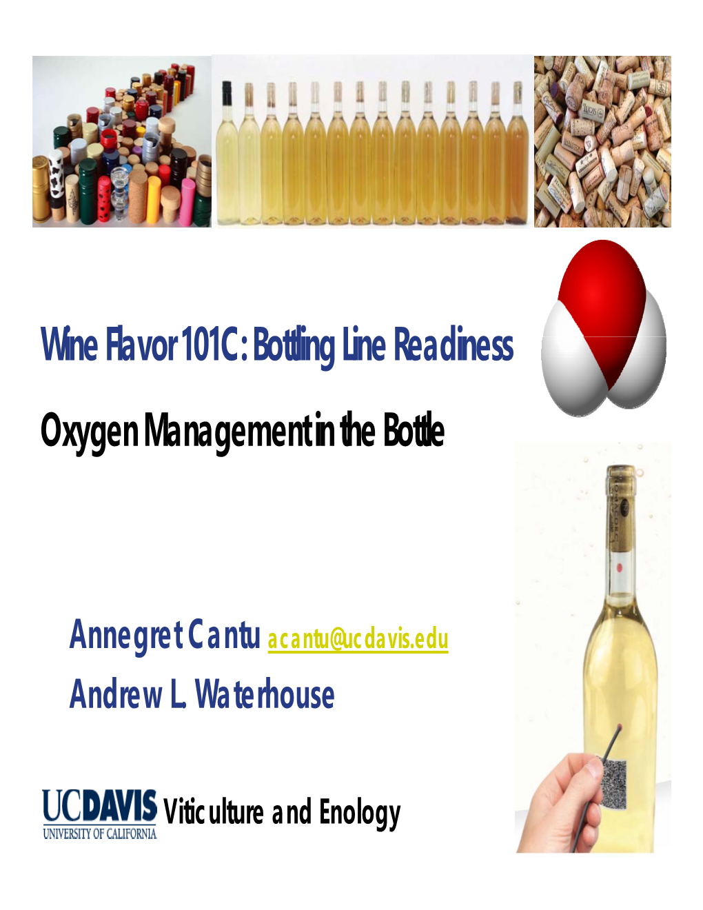 Wine Flavor 101C: Bottling Line Readiness Oxygen Management in the Bottle