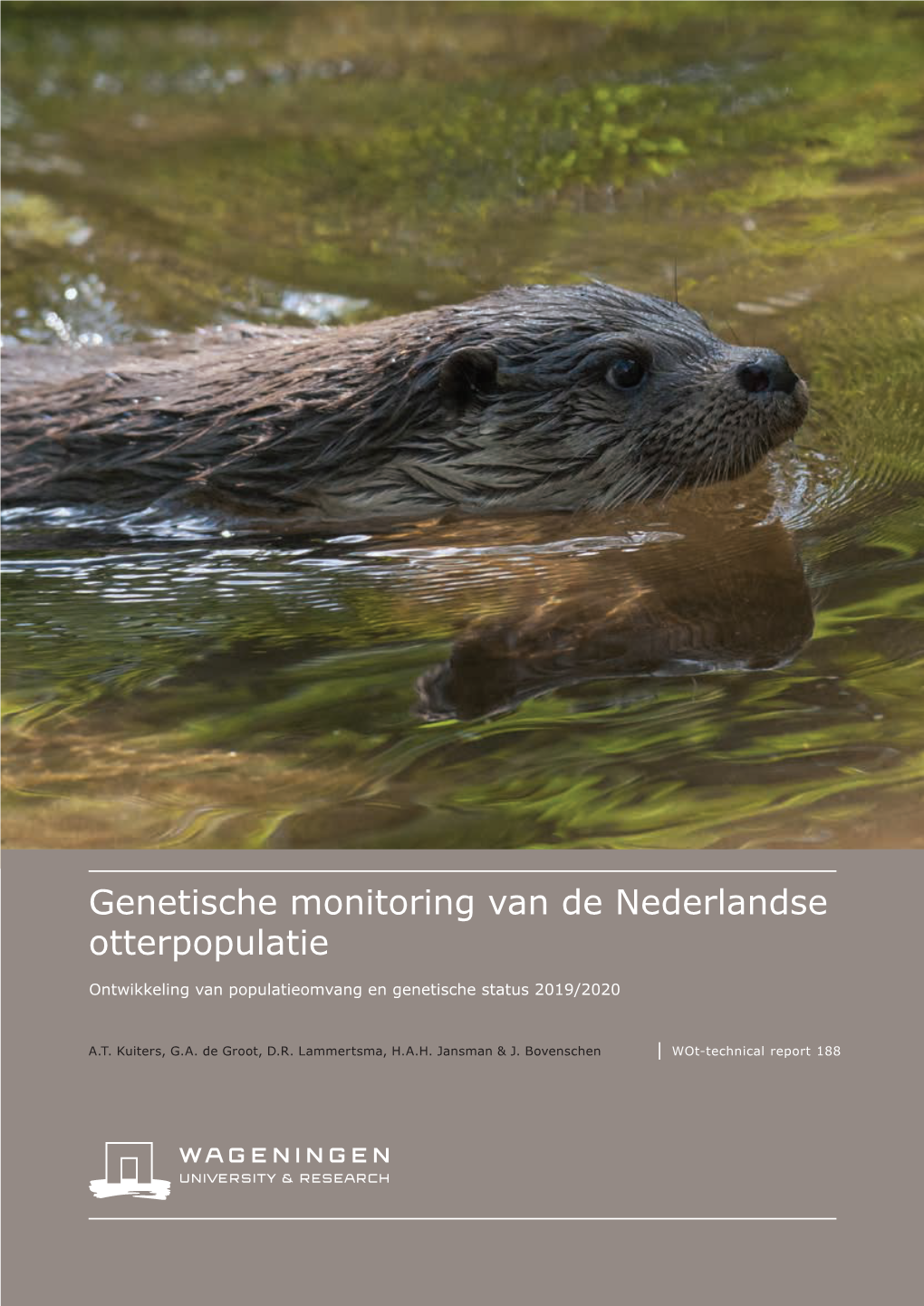 Genetische Monitoring Van De Nederlandse Otterpopulatie