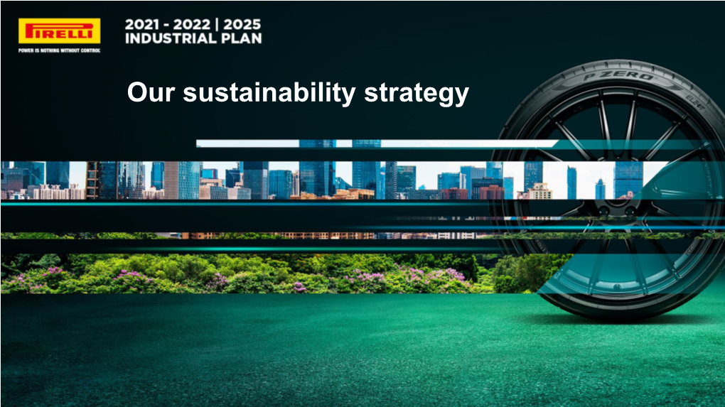 Our Sustainability Strategy