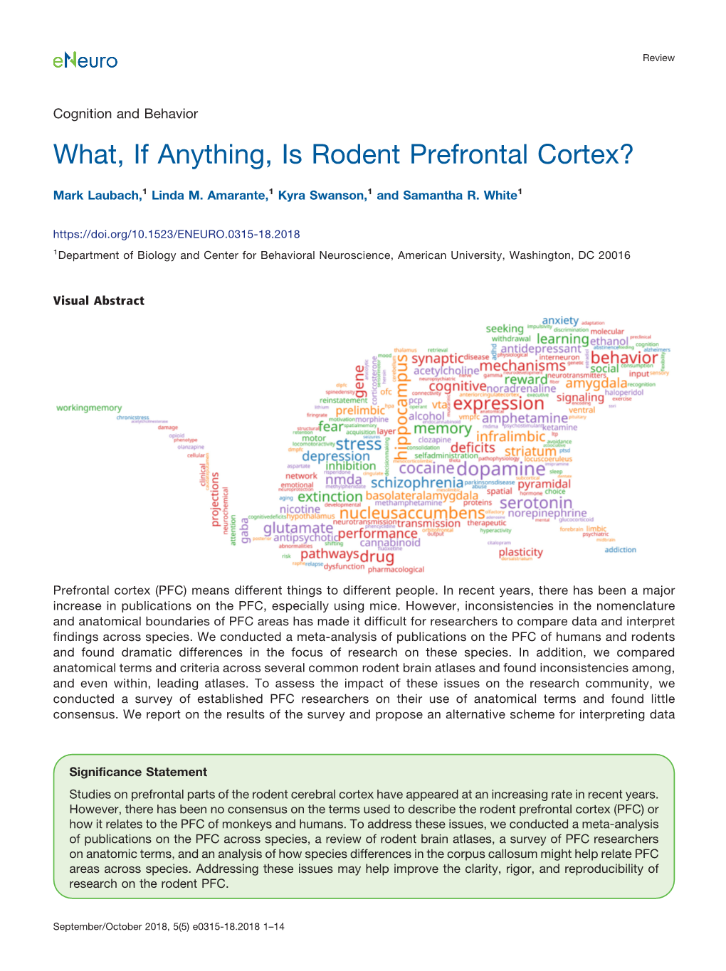 What, If Anything, Is Rodent Prefrontal Cortex?