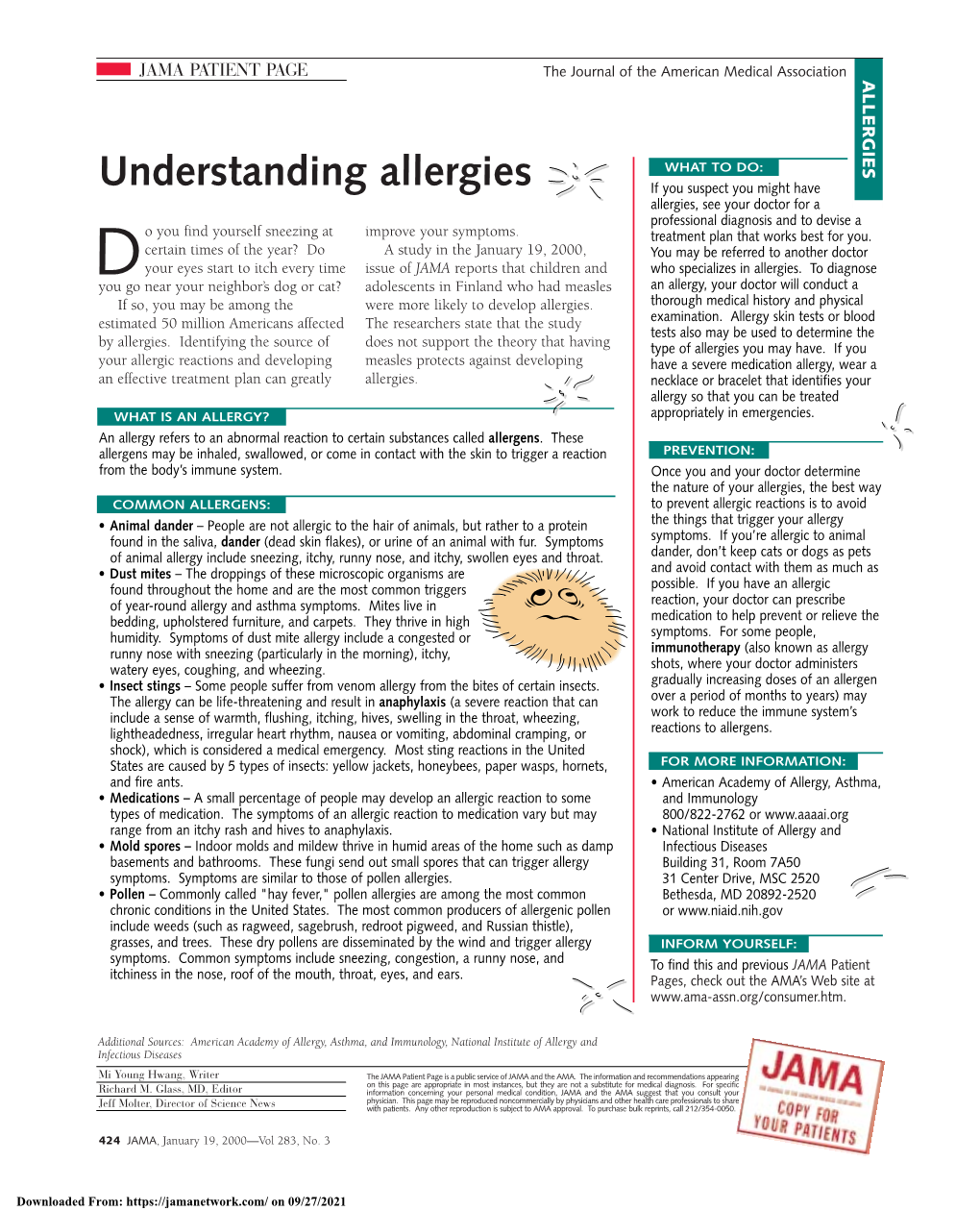 Understanding Allergies