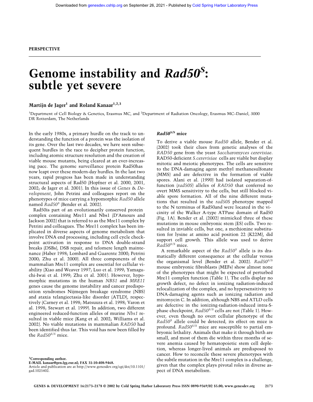 Genome Instability and Rad50s: Subtle Yet Severe