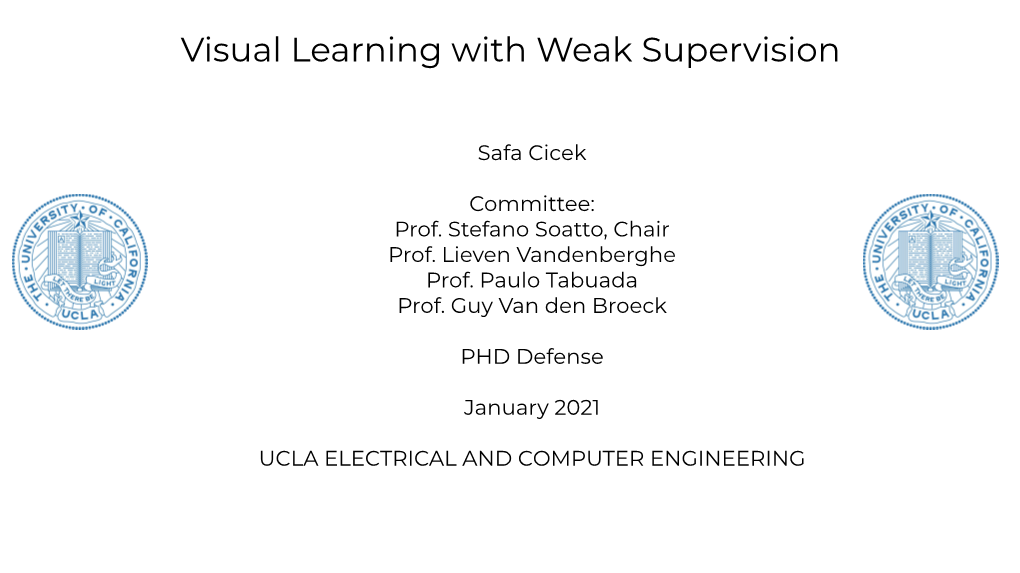 Visual Learning with Weak Supervision