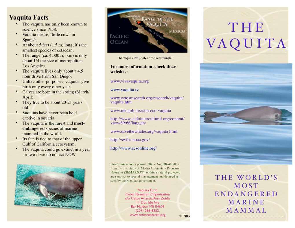 The Vaquita Has Only Been Known to Science Since 1958