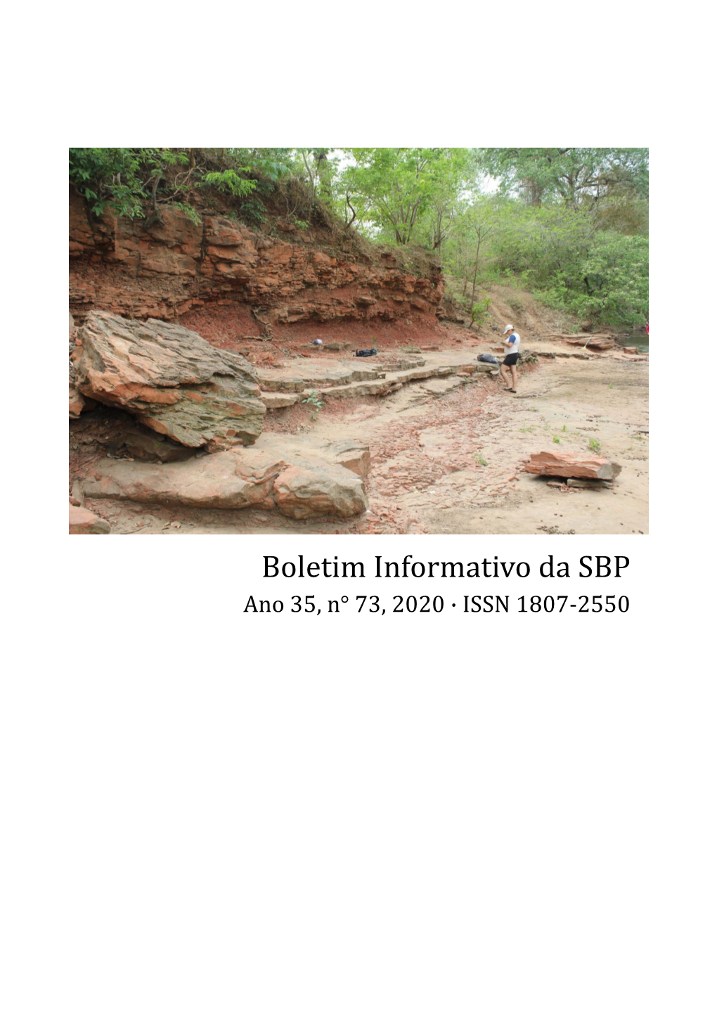 Boletim Informativo Da SBP Ano 35, N° 73, 2020 · ISSN 1807-2550 PALEO 2019