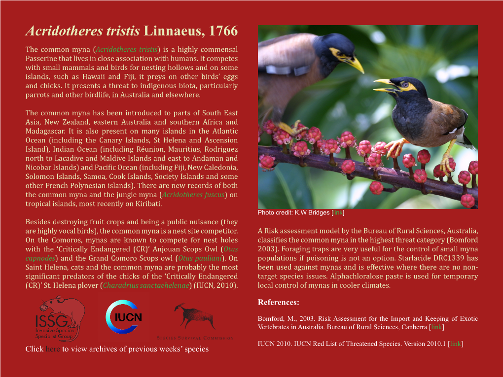 Acridotheres Tristis Linnaeus, 1766 the Common Myna (Acridotheres Tristis) Is a Highly Commensal Passerine That Lives in Close Association with Humans