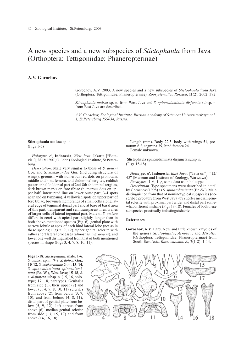 A New Species and a New Subspecies of Stictophaula from Java (Orthoptera: Tettigoniidae: Phaneropterinae)