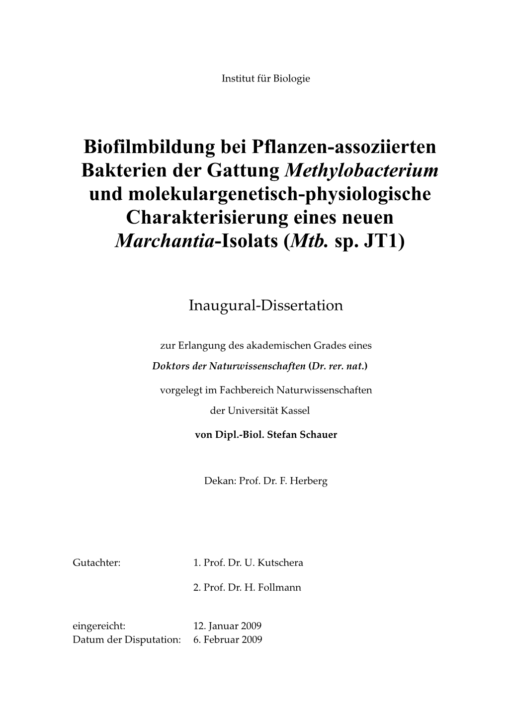 Dissertationstefanschauer.Pdf (11.35Mb)