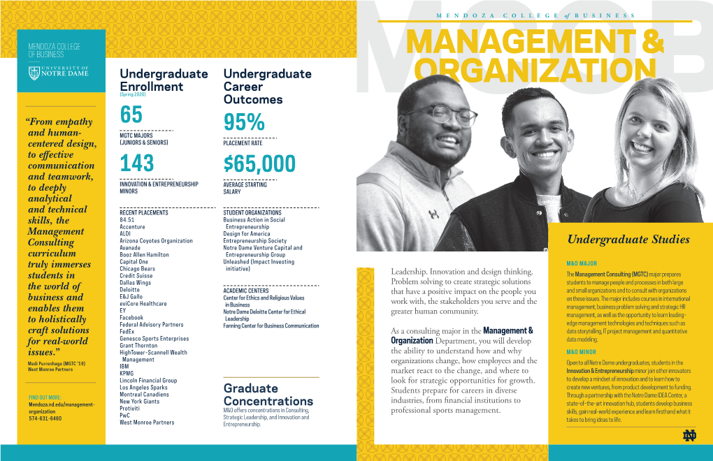 View Management Consulting Flyer Now!