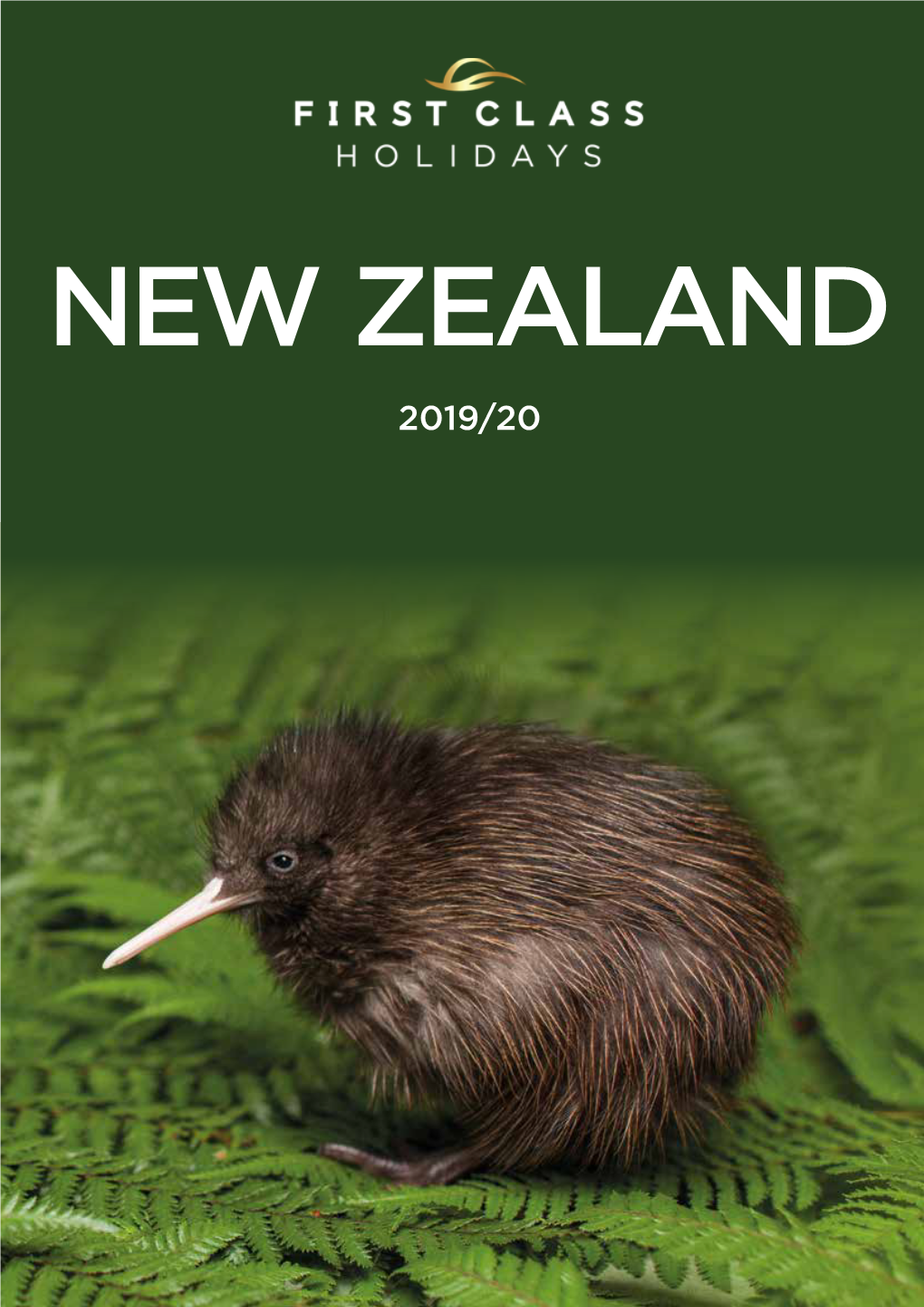 New Zealand 2019.Pdf