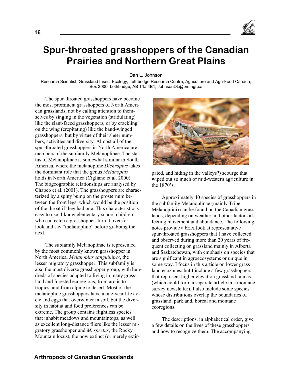 Spur-Throated Grasshoppers of the Canadian Prairies and Northern Great Plains