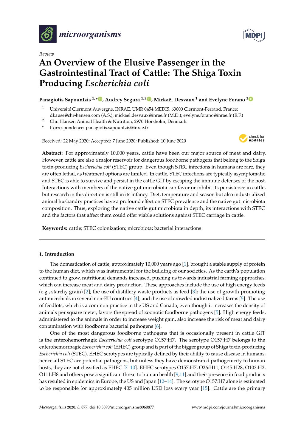 The Shiga Toxin Producing Escherichia Coli