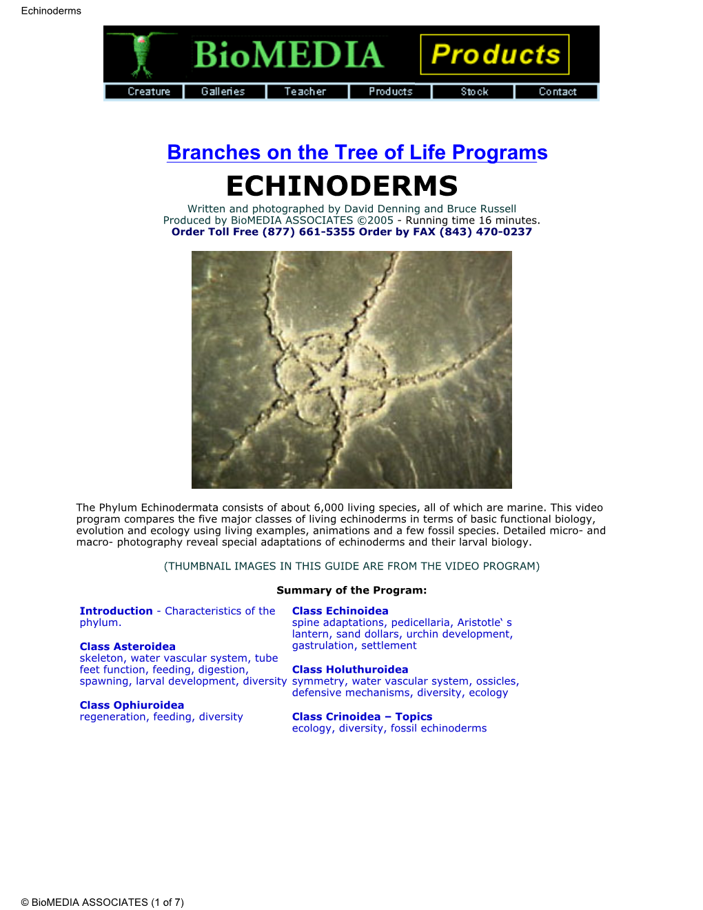 Biology of Echinoderms