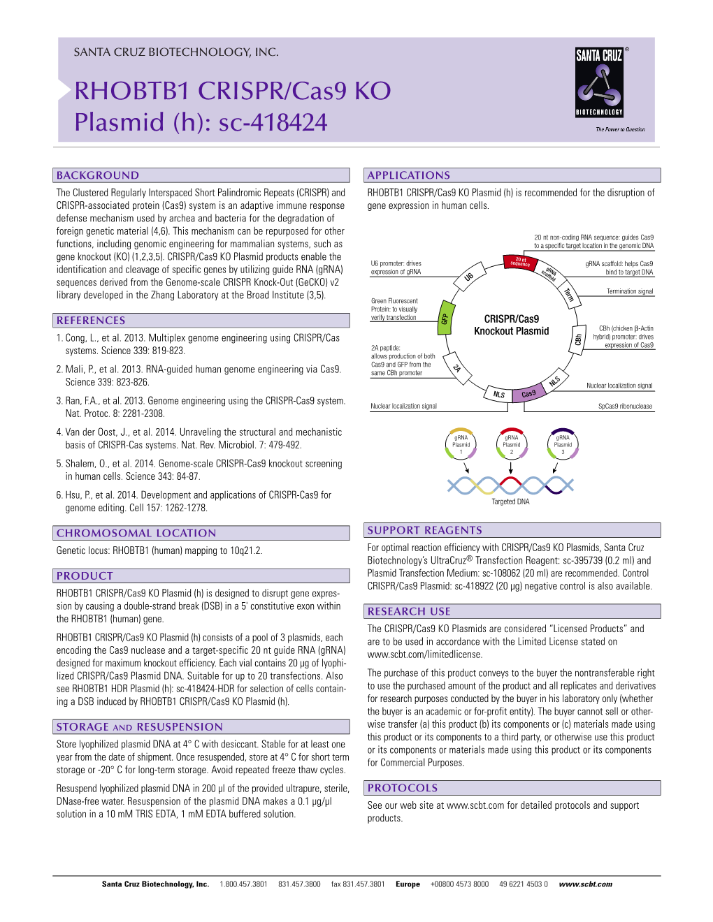 RHOBTB1 CRISPR/Cas9 KO Plasmid (H): Sc-418424