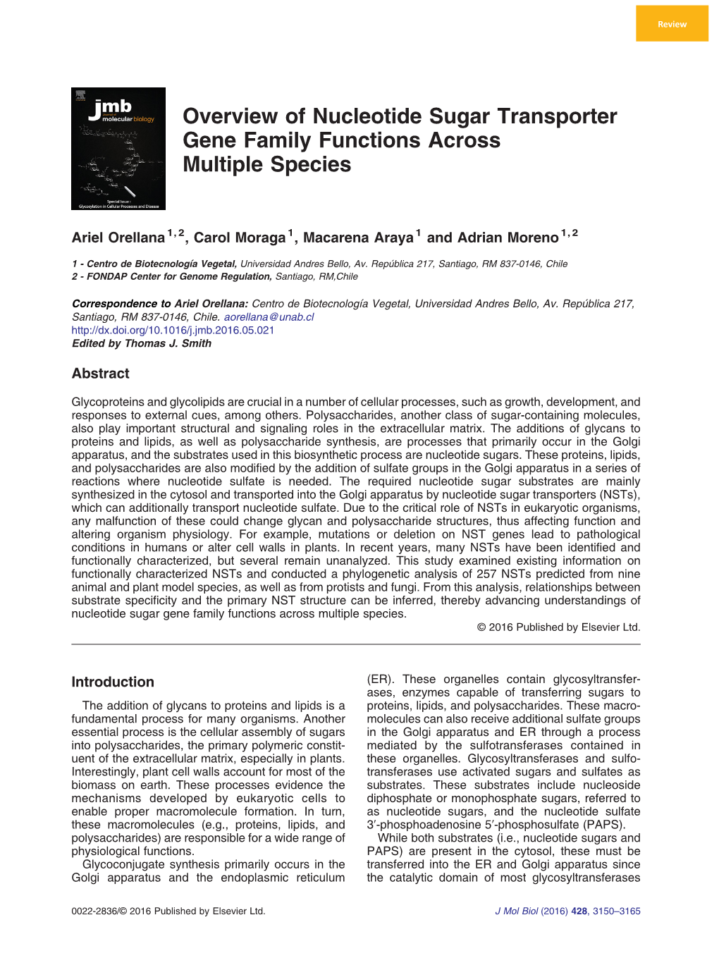 Overview of Nucleotide Sugar Transporter Gene Family Functions Across Multiple Species