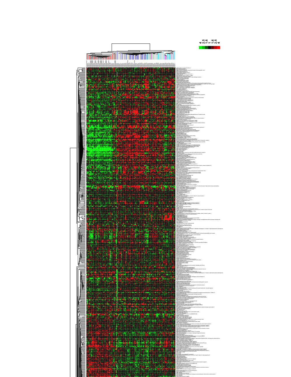 CDH12 Cadherin 12, Type 2 N-Cadherin 2 RPL5 Ribosomal