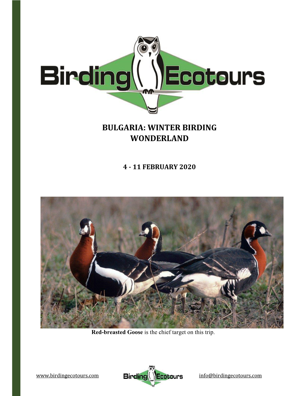 Bulgaria: Winter Birding Wonderland