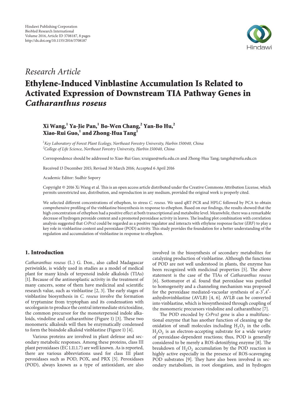 Ethylene-Induced Vinblastine Accumulation Is Related to Activated Expression of Downstream TIA Pathway Genes in Catharanthus Roseus