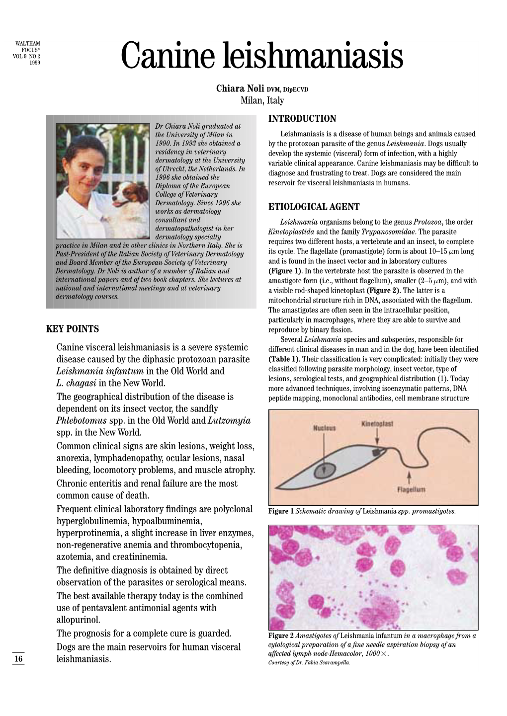 Canine Leishmaniasis