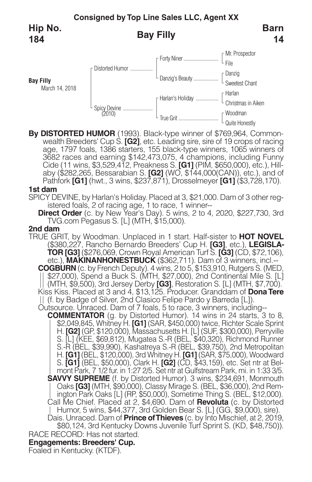 Bay Filly Barn 14 Hip No