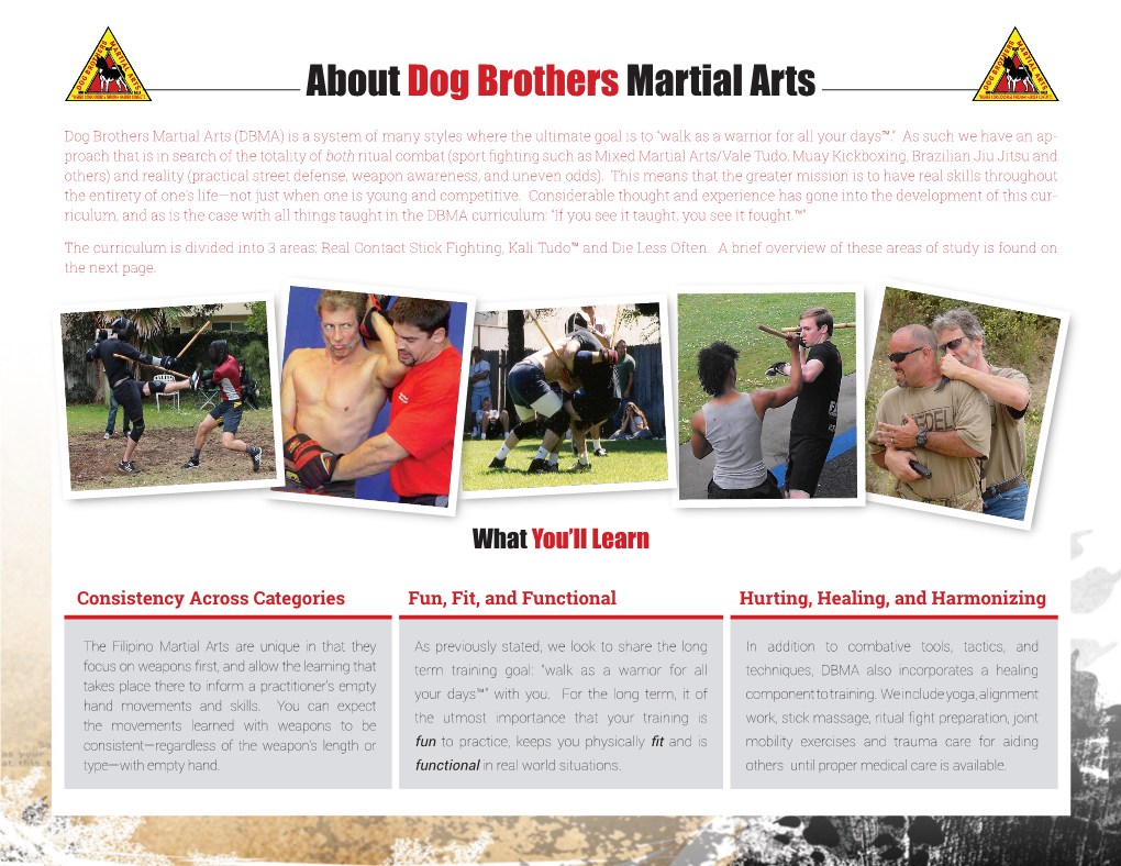 Aboutdog Brothersmartial Arts
