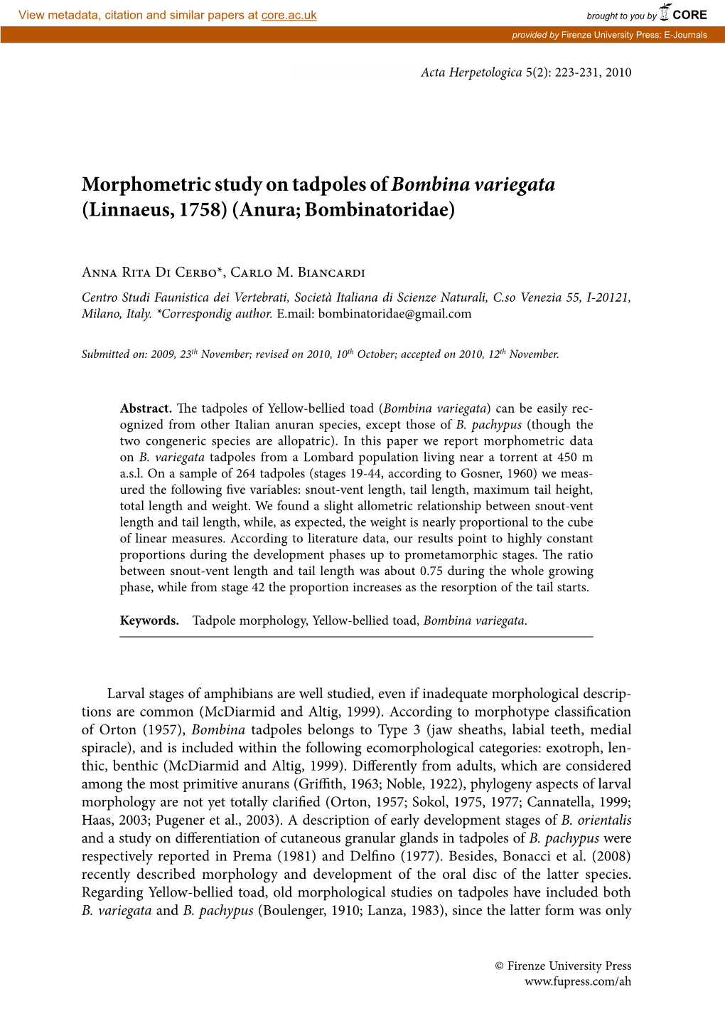 Morphometric Study on Tadpoles of Bombina Variegata (Linnaeus, 1758) (Anura; Bombinatoridae)