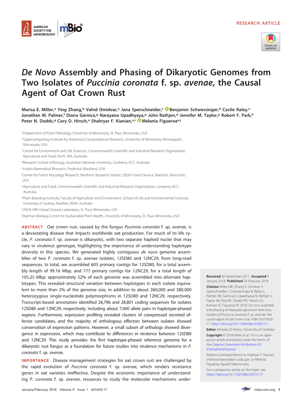 De Novo Assembly and Phasing of Dikaryotic Genomes from Two Isolates of Puccinia Coronata F