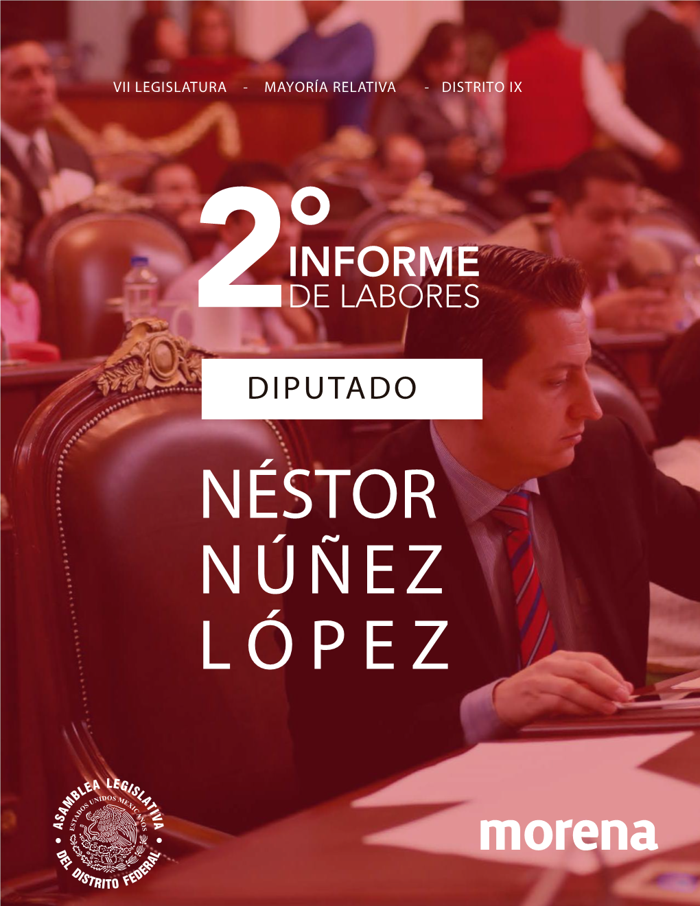 Néstor Núñez López Vii Legislatura - Segundo Año