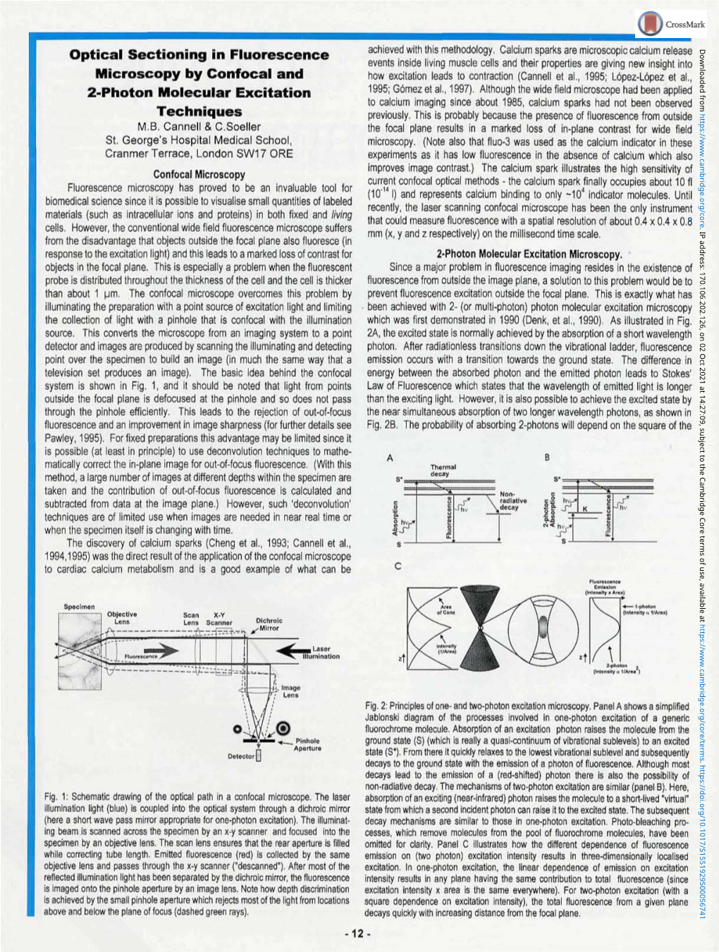 Optical Sectioning in Fluorescence Microscopy by Confocal and 2