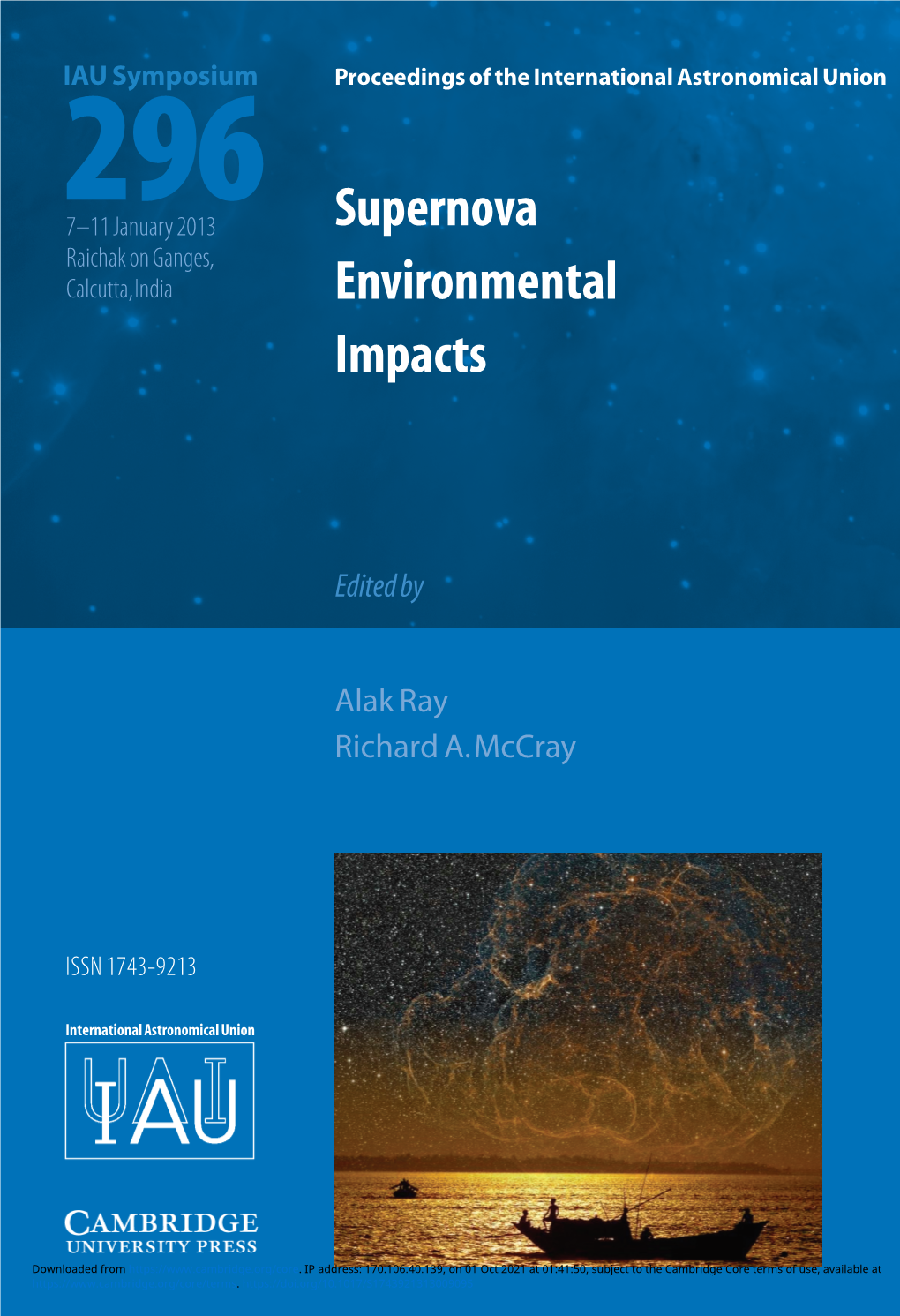 Supernova Environmental Impacts