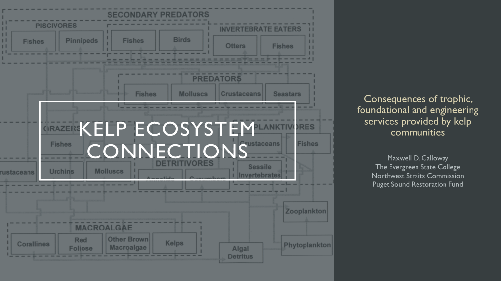 Kelp Ecosystem Connections