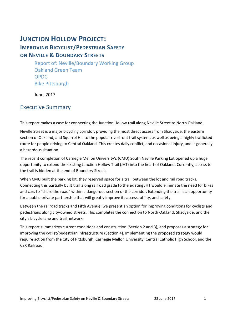 JUNCTION HOLLOW PROJECT: Executive Summary