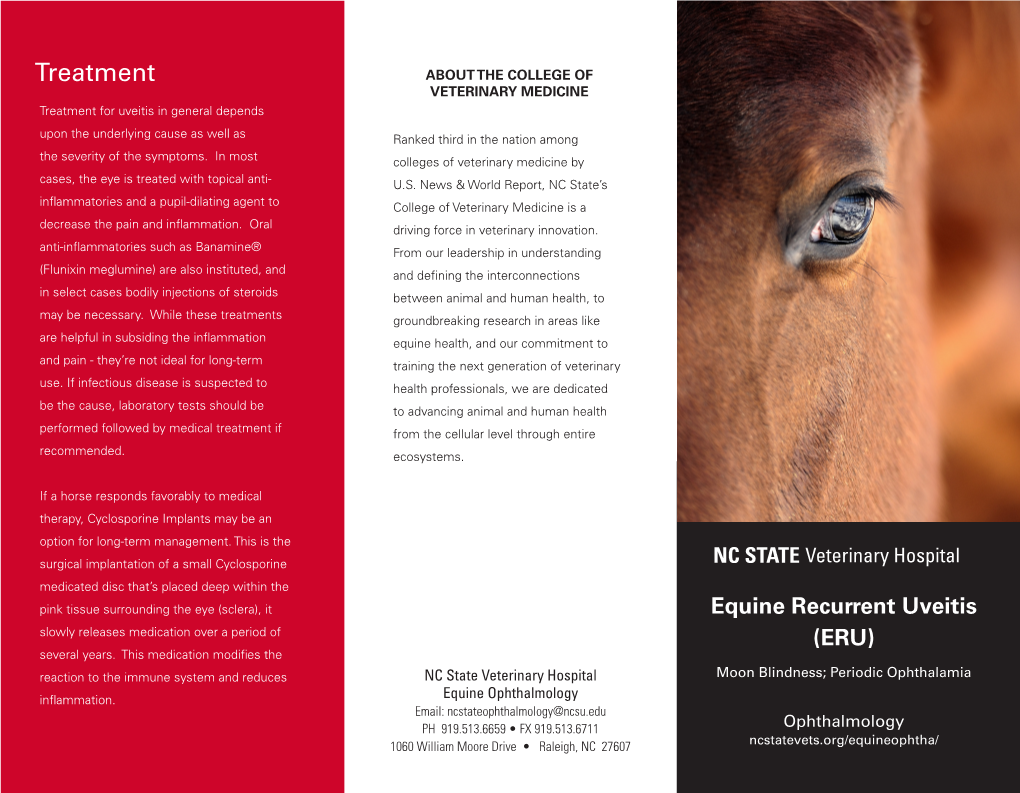 Equine Recurrent Uveitis Slowly Releases Medication Over a Period of (ERU) Several Years