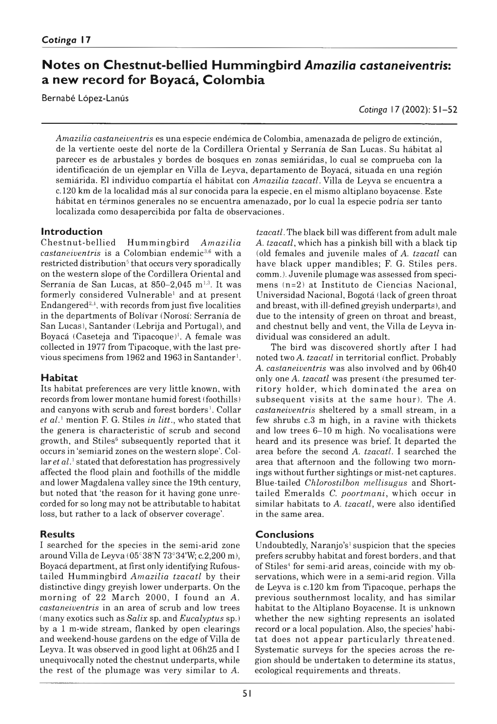 Notes on Chestnut-Bellied Hummingbird Amazilia