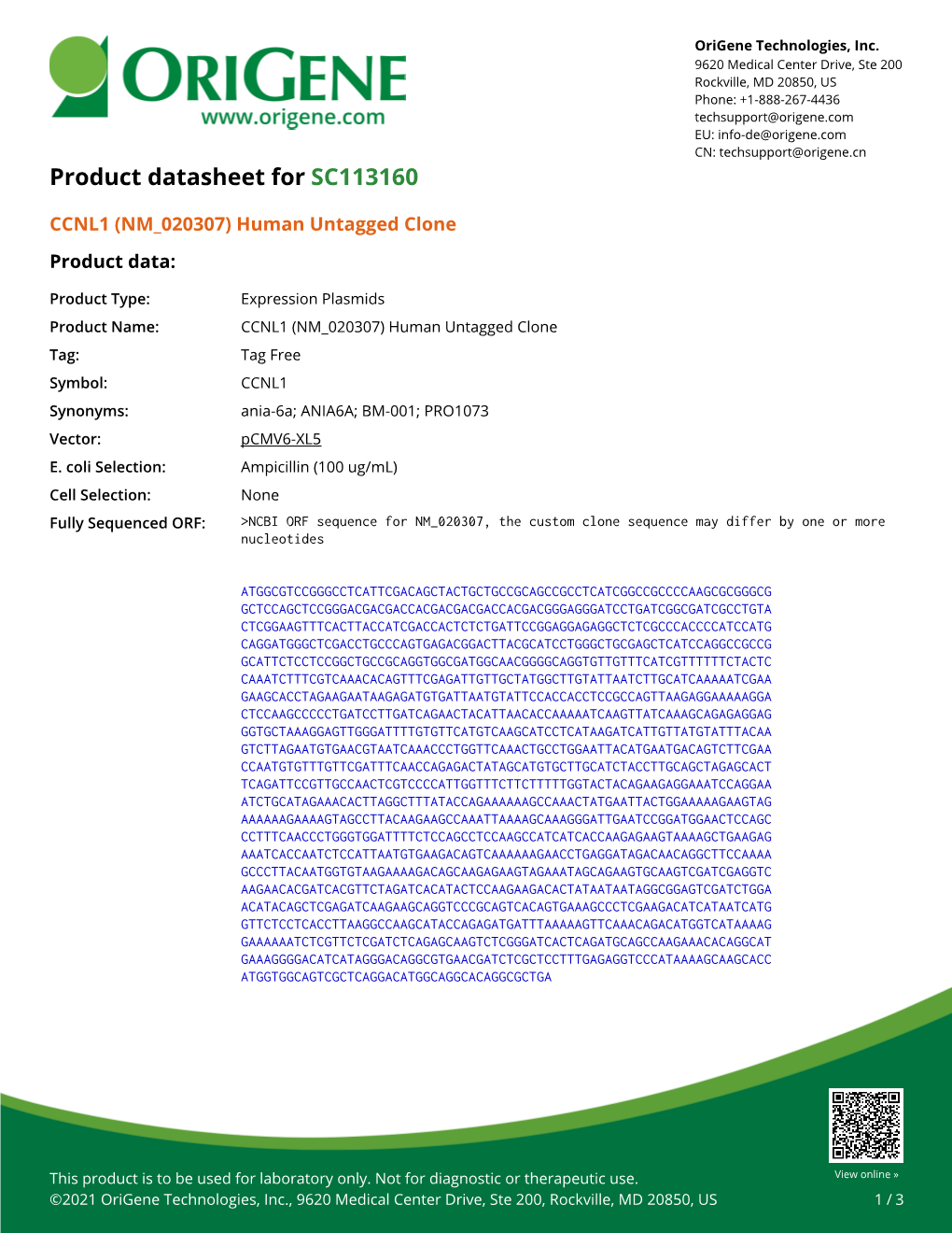 CCNL1 (NM 020307) Human Untagged Clone – SC113160 | Origene
