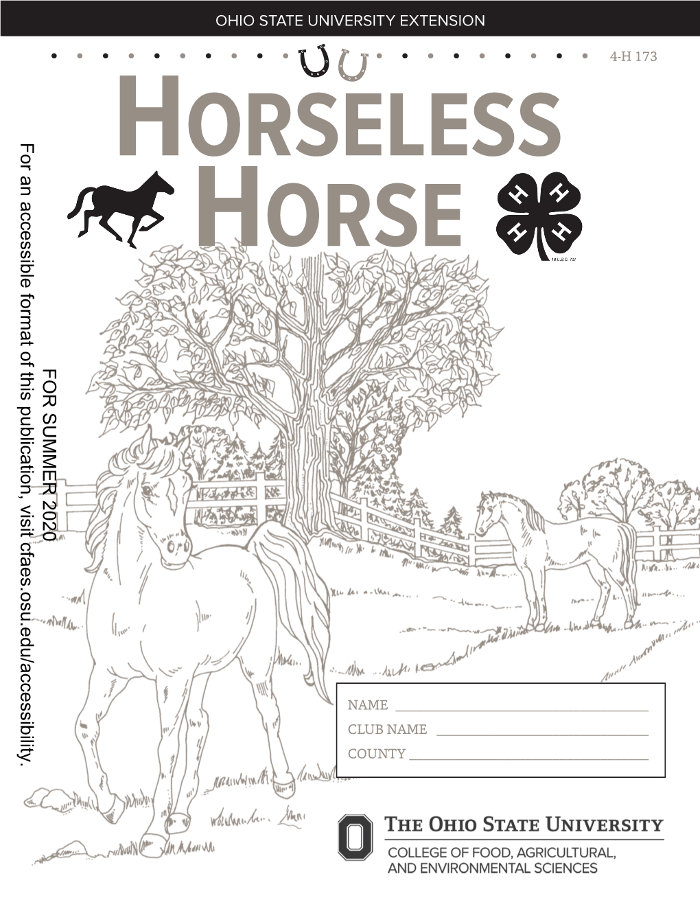 Horseless Horse Project