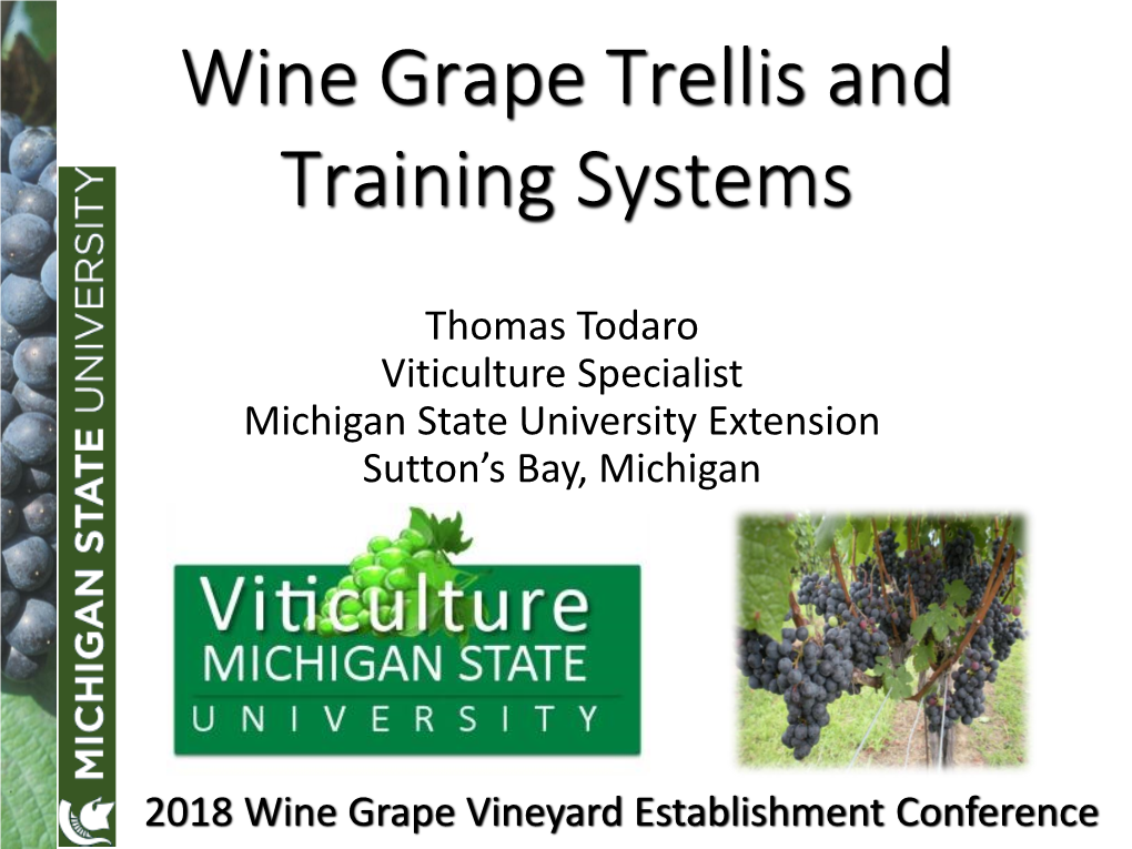 Wine Grape Trellis and Training Systems
