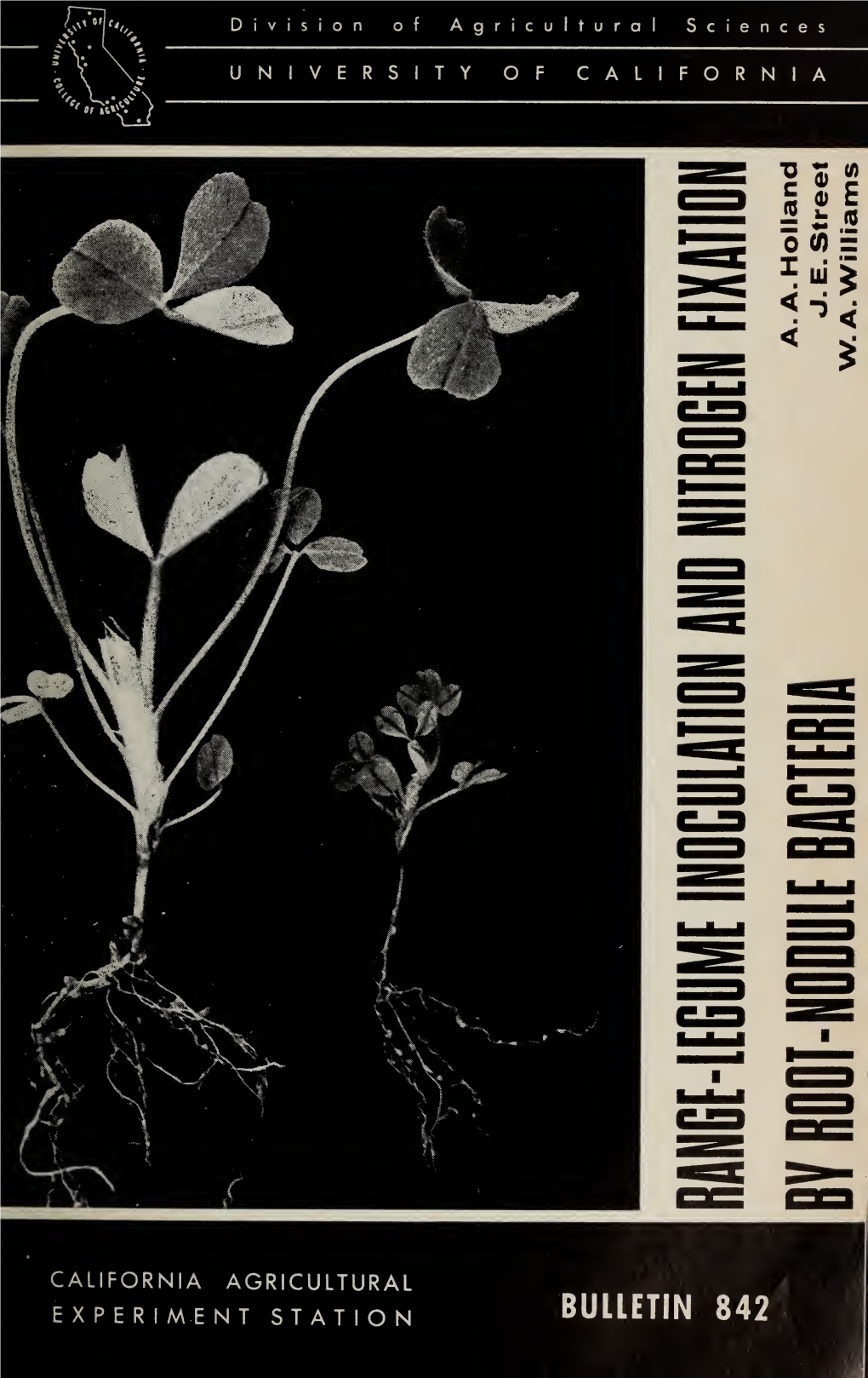 Range-Legume Inoculation and Nitrogen Fixation by Root-Nodule Bacteria